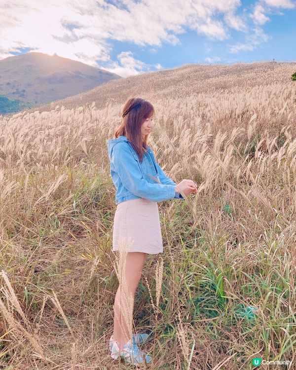 每年必去大東山！