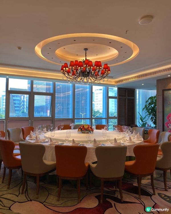 深圳早茶新寵 👑 悅景匯  #香港人必試