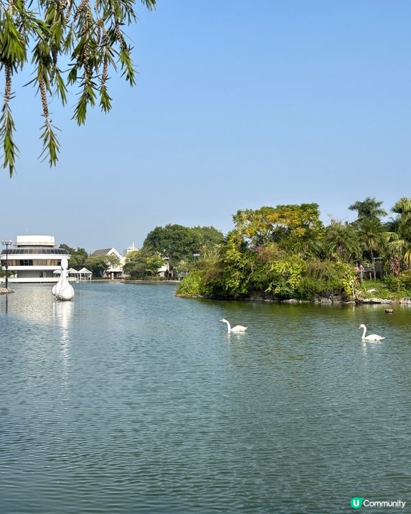 【 元朗聖誕必去新聖地•錦綉花園 】