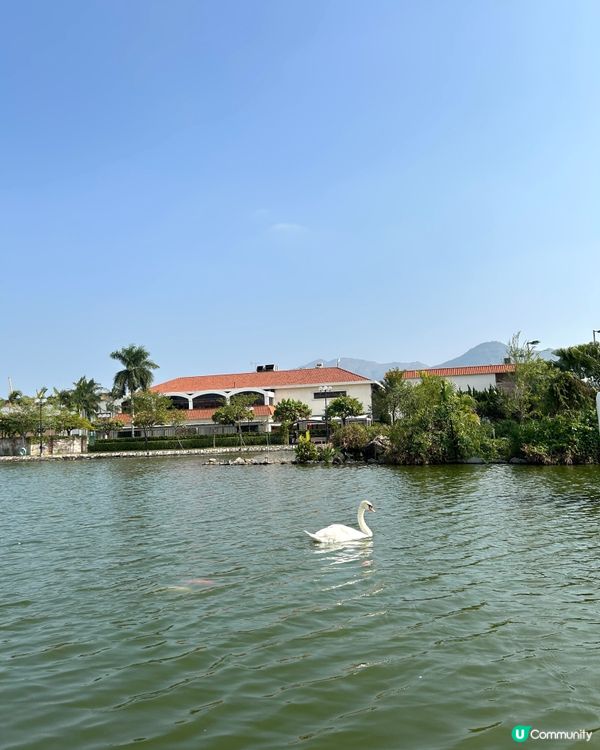 【 元朗聖誕必去新聖地•錦綉花園 】