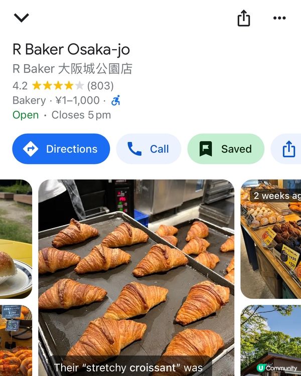 大阪城公園🍁🍂銀杏紅葉一次滿足！🤩