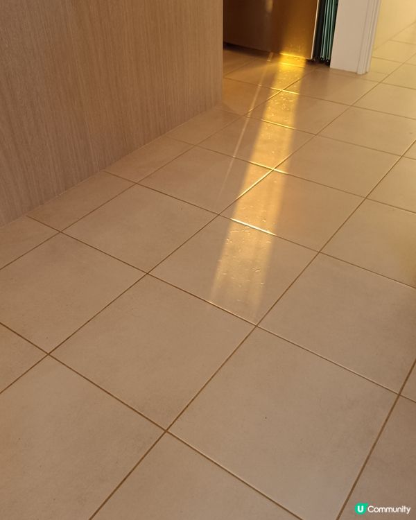 [西澳毛毛🐶] 改壞名の法鬥狗狗飯毛毛