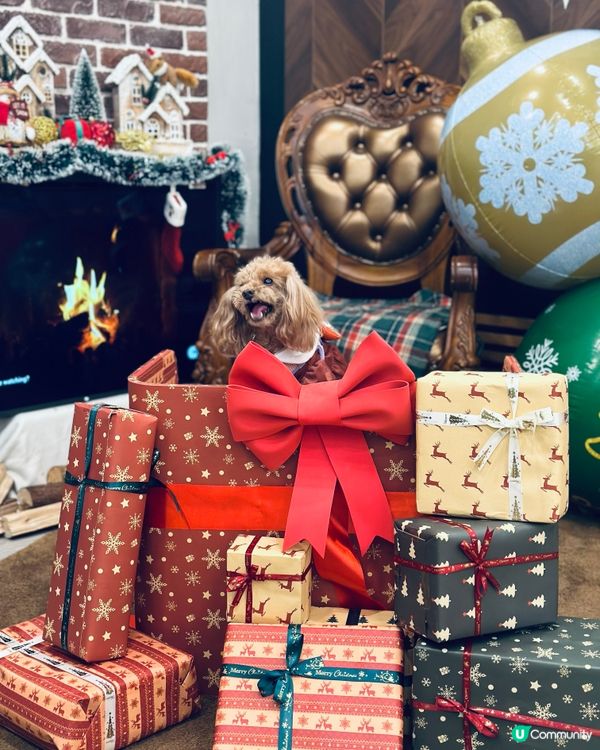 聖誕又點少得去紗廠