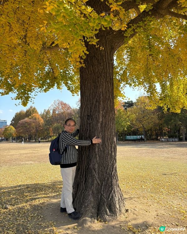 千里之行，止于足下