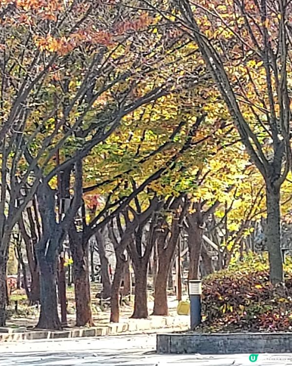 千里之行，止于足下