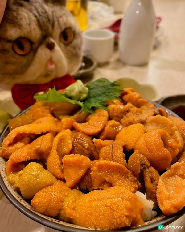 🇯🇵北海道勁正海膽丼😋😋😋