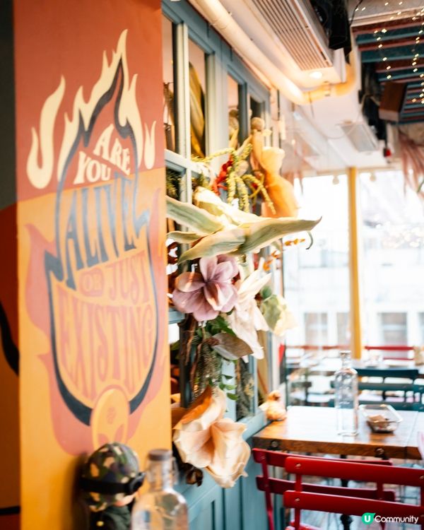 【節日限定】銅鑼灣寵物友善餐廳🎄🎅🏻聖誕寵物蛋糕可預訂🎂