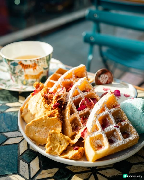 【節日限定】銅鑼灣寵物友善餐廳🎄🎅🏻聖誕寵物蛋糕可預訂🎂