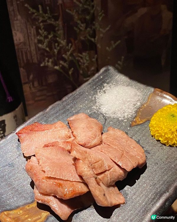 深圳燒鳥天花板🔥  鳥君必試！