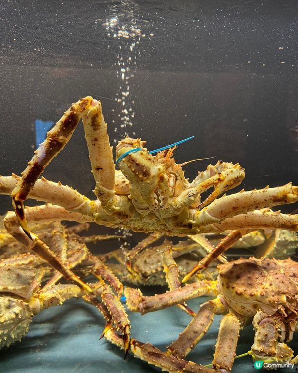 蟹仙畫宴🎨  食住名畫，歎住鮮味🦀