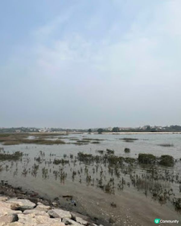 來去大小金門(2)雄獅堡、建功嶼、金門鎮總兵署、浯江書院