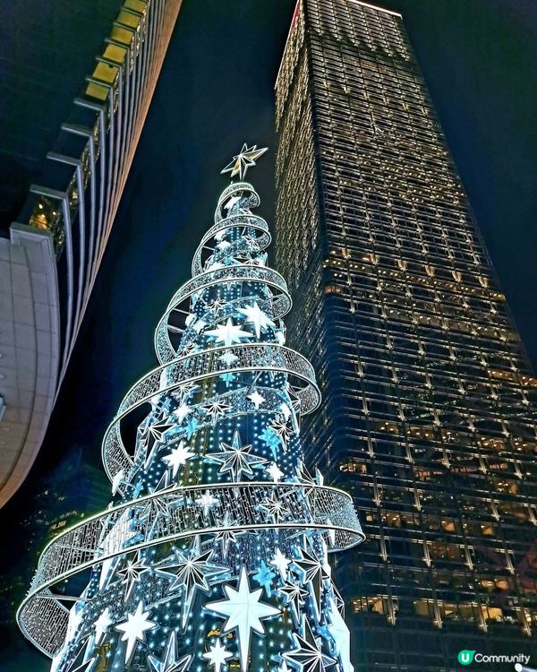 金光閃閃之金鐘聖誕燈飾