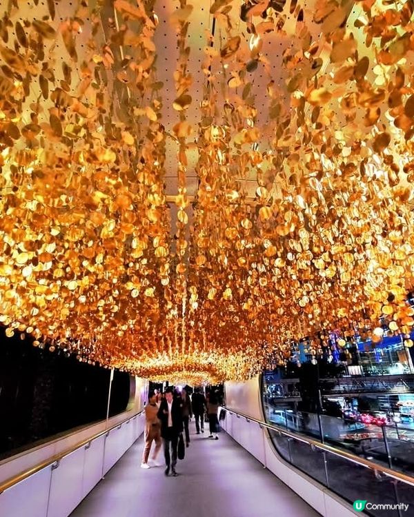 金光閃閃之金鐘聖誕燈飾