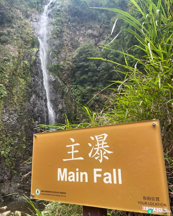 ⛰️ 大埔梧桐寨瀑布群，壯觀景色，震撼人心🌸