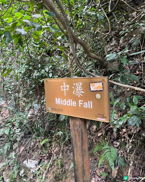 ⛰️ 大埔梧桐寨瀑布群，壯觀景色，震撼人心🌸