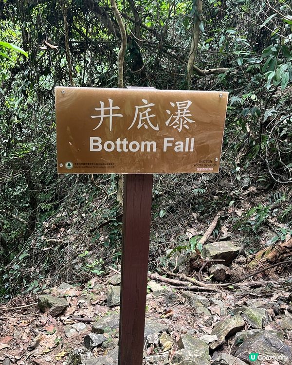 ⛰️ 大埔梧桐寨瀑布群，壯觀景色，震撼人心🌸