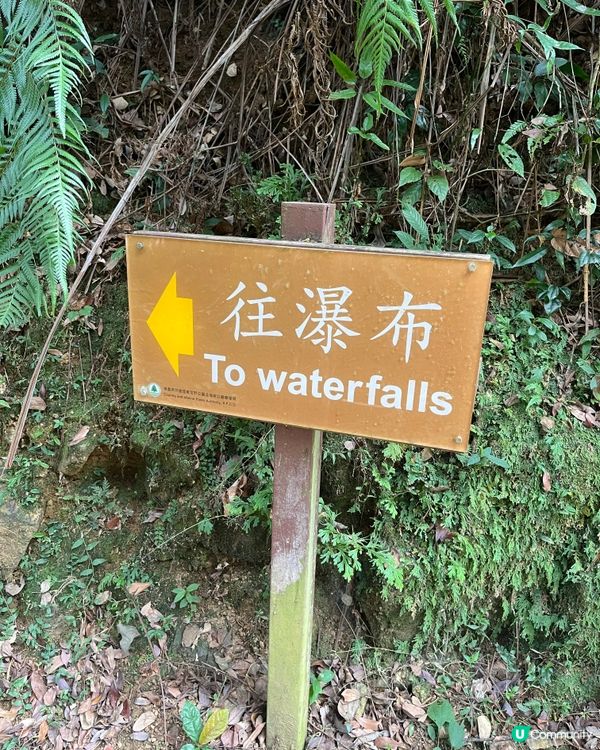 ⛰️ 大埔梧桐寨瀑布群，壯觀景色，震撼人心🌸