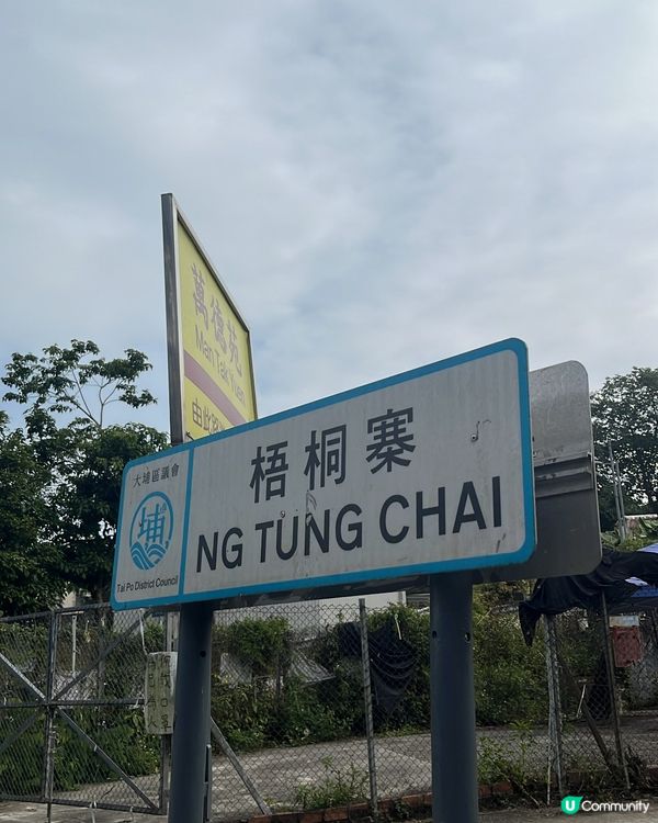 ⛰️ 大埔梧桐寨瀑布群，壯觀景色，震撼人心🌸