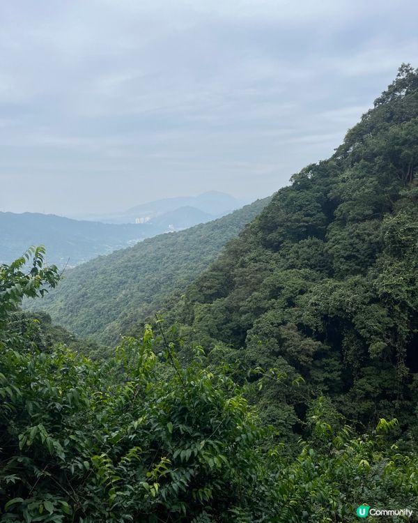 ⛰️ 大埔梧桐寨瀑布群，壯觀景色，震撼人心🌸