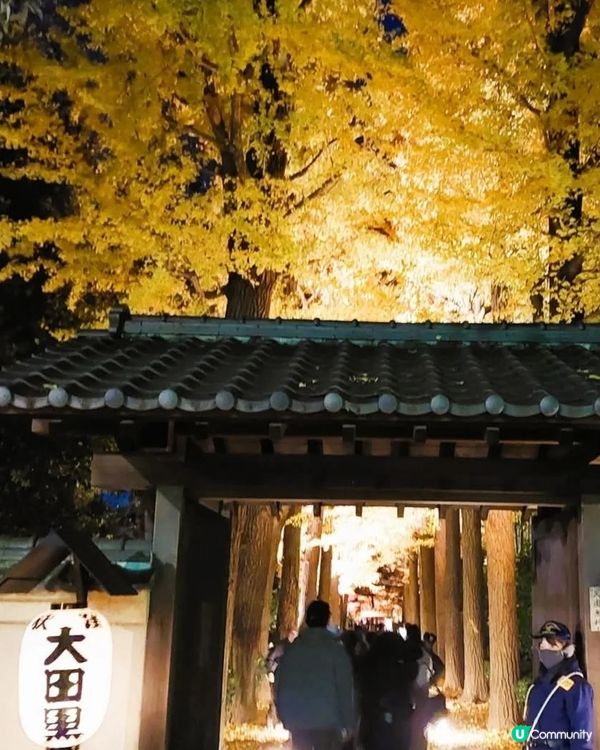 大田黑公園夜賞紅葉🍁🍂