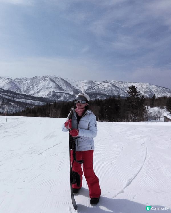 日本北海道的粉雪，美麗！大而活潑的北極熊，有活力！去了旭日動...