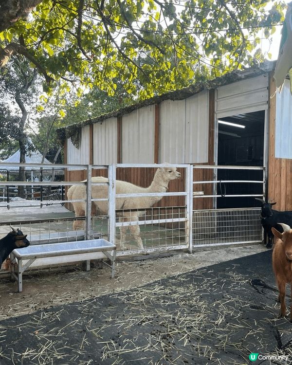 蝶豆花公園對有小朋友既人應該唔會陌生
