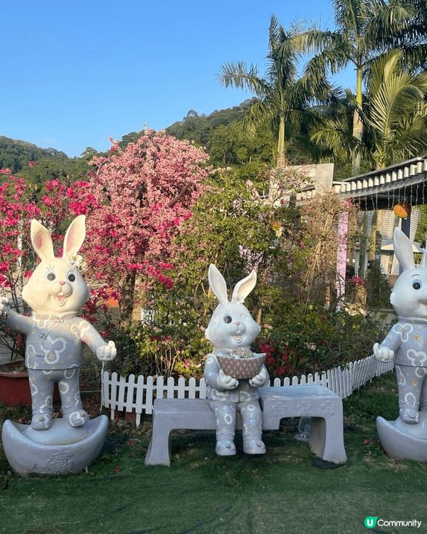 蝶豆花公園對有小朋友既人應該唔會陌生