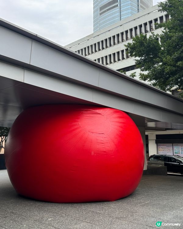 紅球計劃 🔴 完結後續打卡攻略 📸