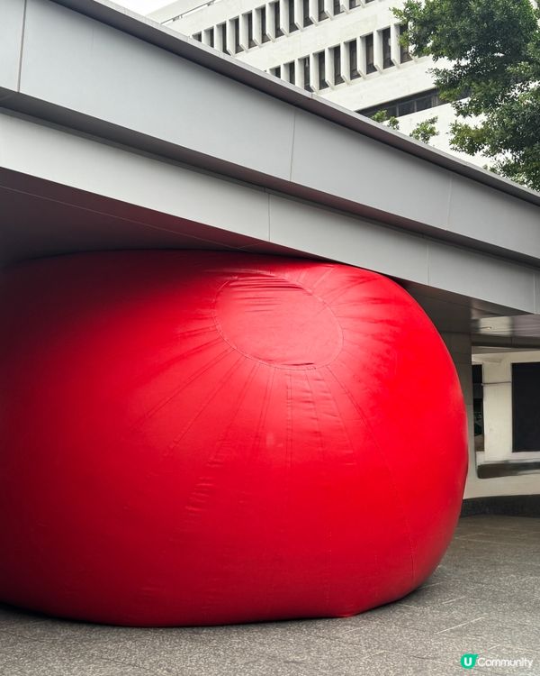 紅球計劃 🔴 完結後續打卡攻略 📸