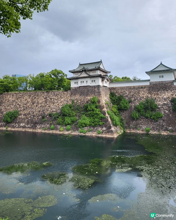 天氣涼，最適合就係去外遊。