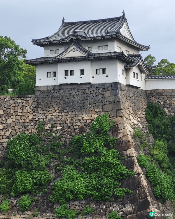 天氣涼，最適合就係去外遊。