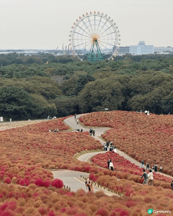 📍Kumoba Pond 雲場池