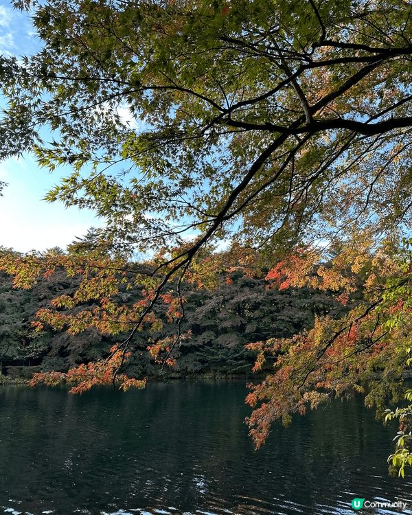 📍Kumoba Pond 雲場池