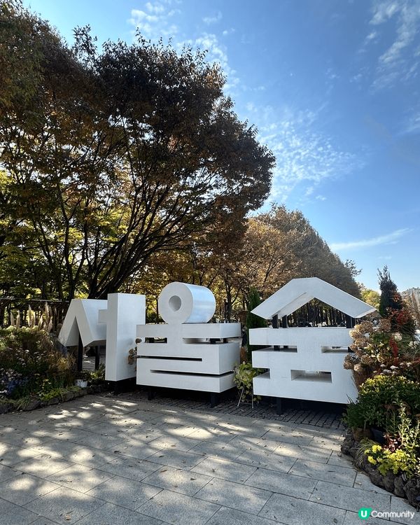 去聖水洞一定要去埋首爾林