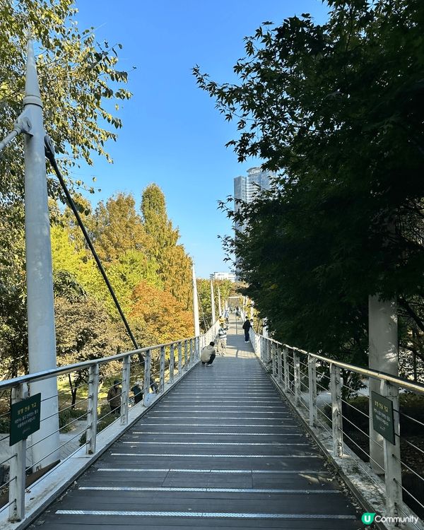 去聖水洞一定要去埋首爾林