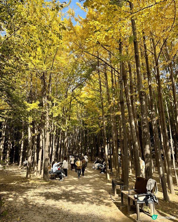 去聖水洞一定要去埋首爾林