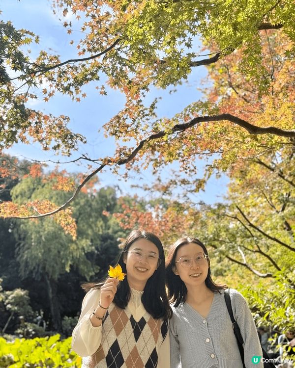 去上海旅行除左食野+去外灘打卡外，仲好推薦去豫園同魯迅公園