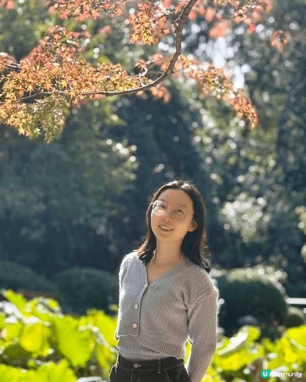 去上海旅行除左食野+去外灘打卡外，仲好推薦去豫園同魯迅公園