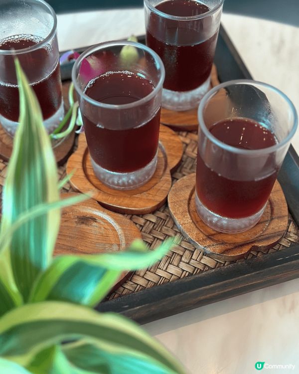 每一個旅行都充滿着回憶