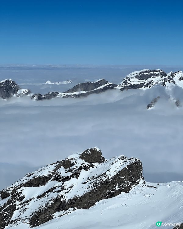上年冬天去瑞士旅行，每日去唔同嘅雪山，雖然望落去好似一樣，但...