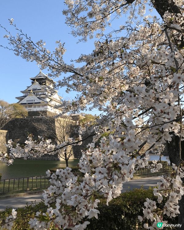 昂坪市集看大佛有藍天與白雲，附近仲有間豆花店。