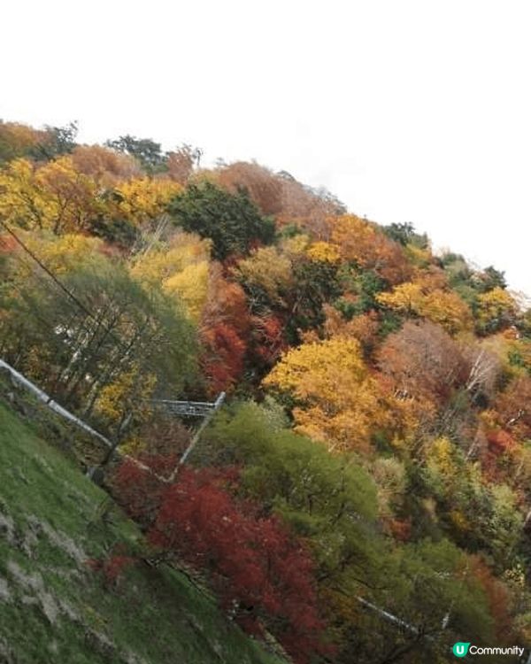 呢個地方係扇沢，係立山黑部其中一個車站，環境好靚，睇紅葉都差...