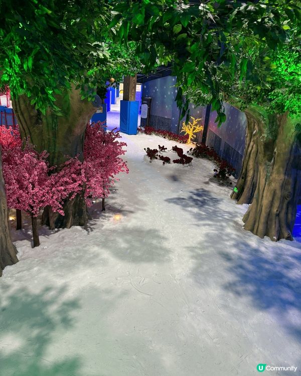 深圳卡魯冰雪世界