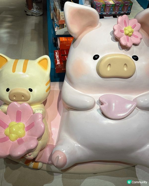 為了影到Lulu 豬，我會好留意身邊景點有沒呢隻豬，之後來張...