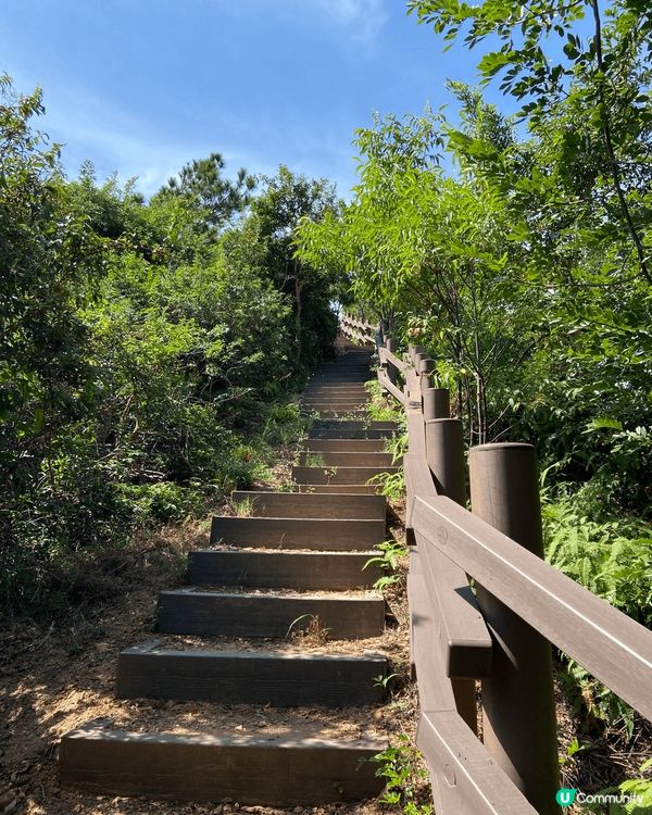 ## 大澳虎山🎉  輕鬆登頂睇靚景🤩