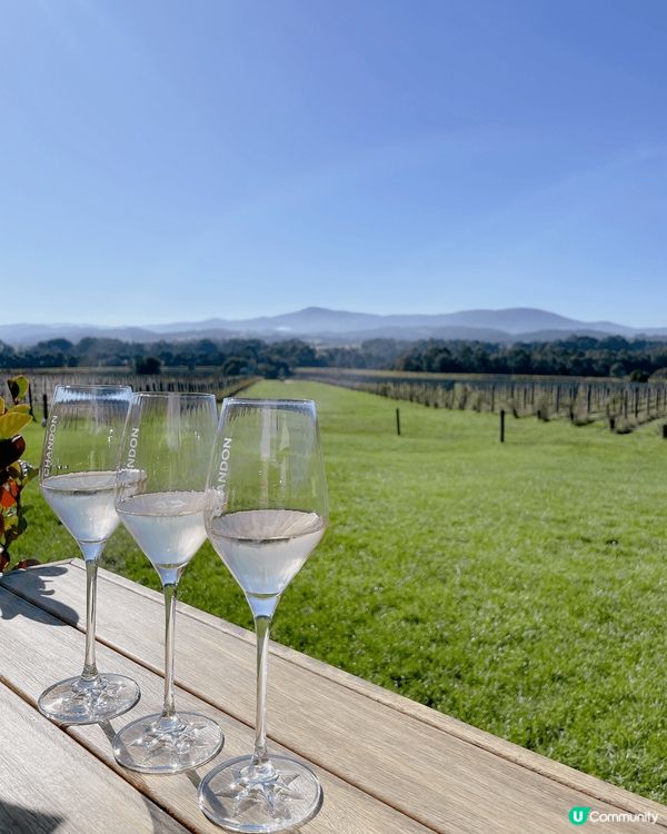 墨爾本彩虹小屋、市場超抵生蠔！酒莊品嘗美酒！熱氣球初體驗❤️...