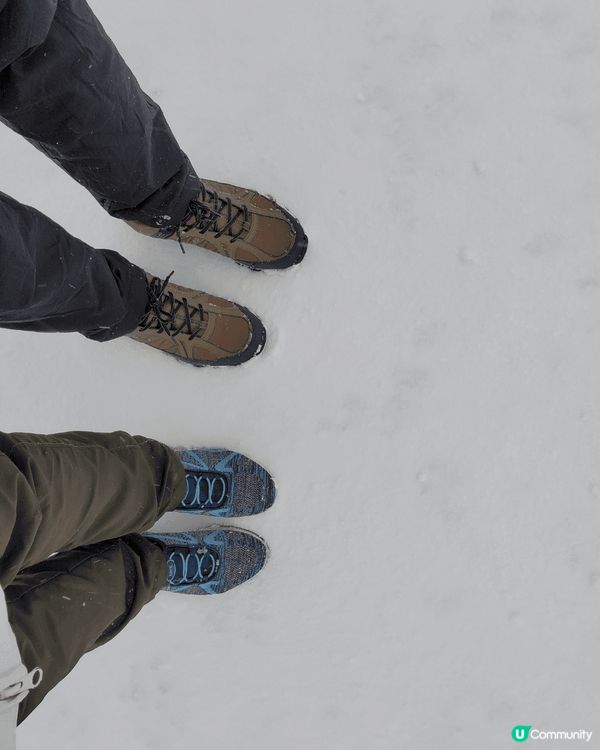 估唔到去青森 11月份就已經落雪 呢一個旅行真係好有得著清心...