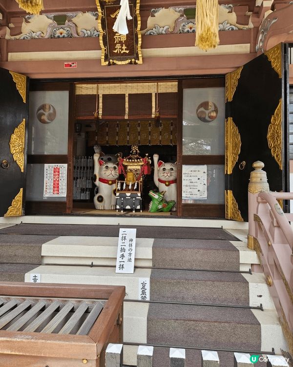 東京淺草區金戶神社係貓貓嘅神社有好多貓嘅抽籤 祈福成個公園都...