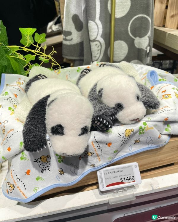 其實海洋公園都好好玩～ 特別係一家大細，睇睇海洋生物，又可以...