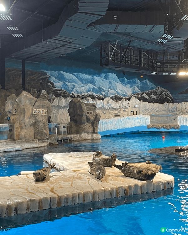 其實海洋公園都好好玩～ 特別係一家大細，睇睇海洋生物，又可以...